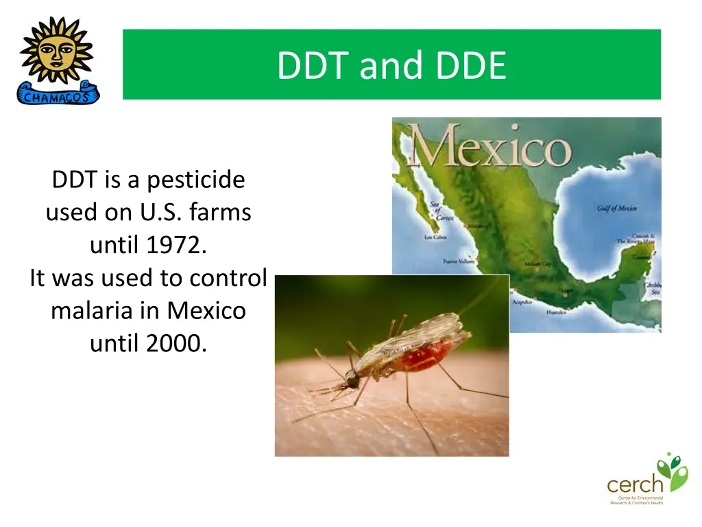 ddt and dde