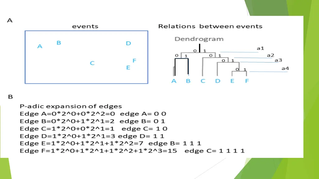 slide7