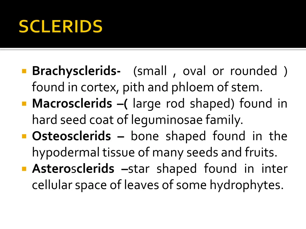 brachysclerids small oval or rounded