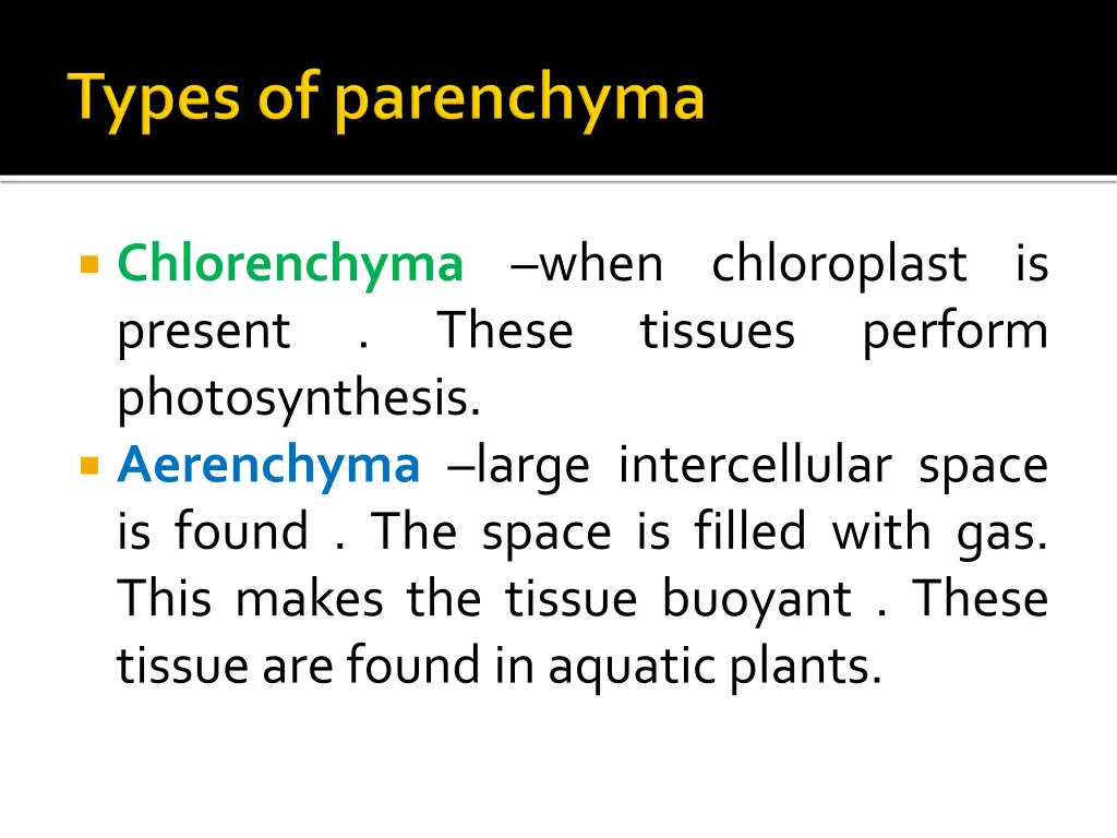 chlorenchyma when chloroplast is present these