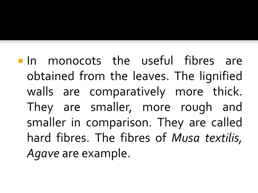 in monocots the useful fibres are obtained from