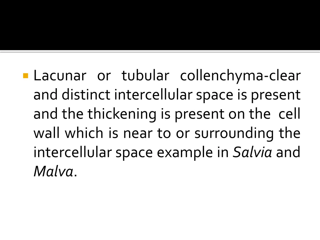 lacunar or tubular collenchyma clear and distinct
