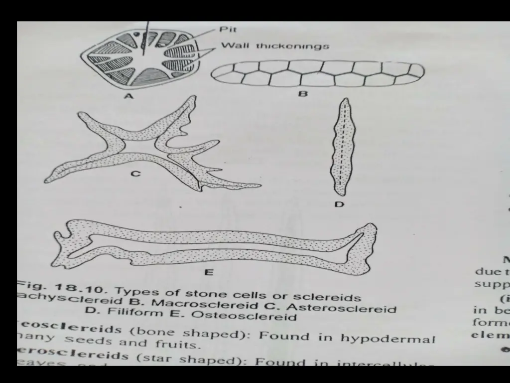 slide32