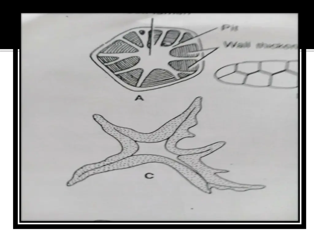 slide33