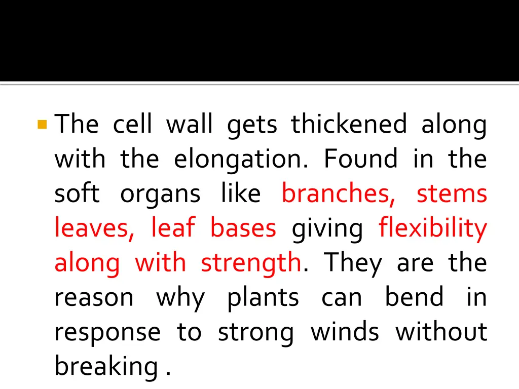 the cell wall gets thickened along with
