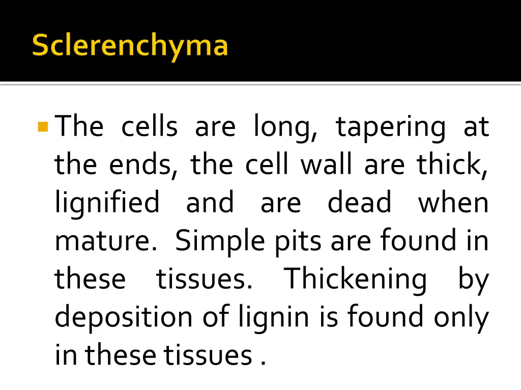 the cells are long tapering at the ends the cell
