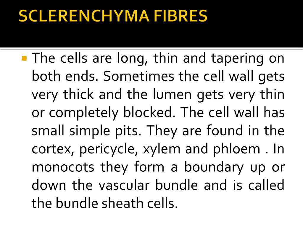 the cells are long thin and tapering on both ends