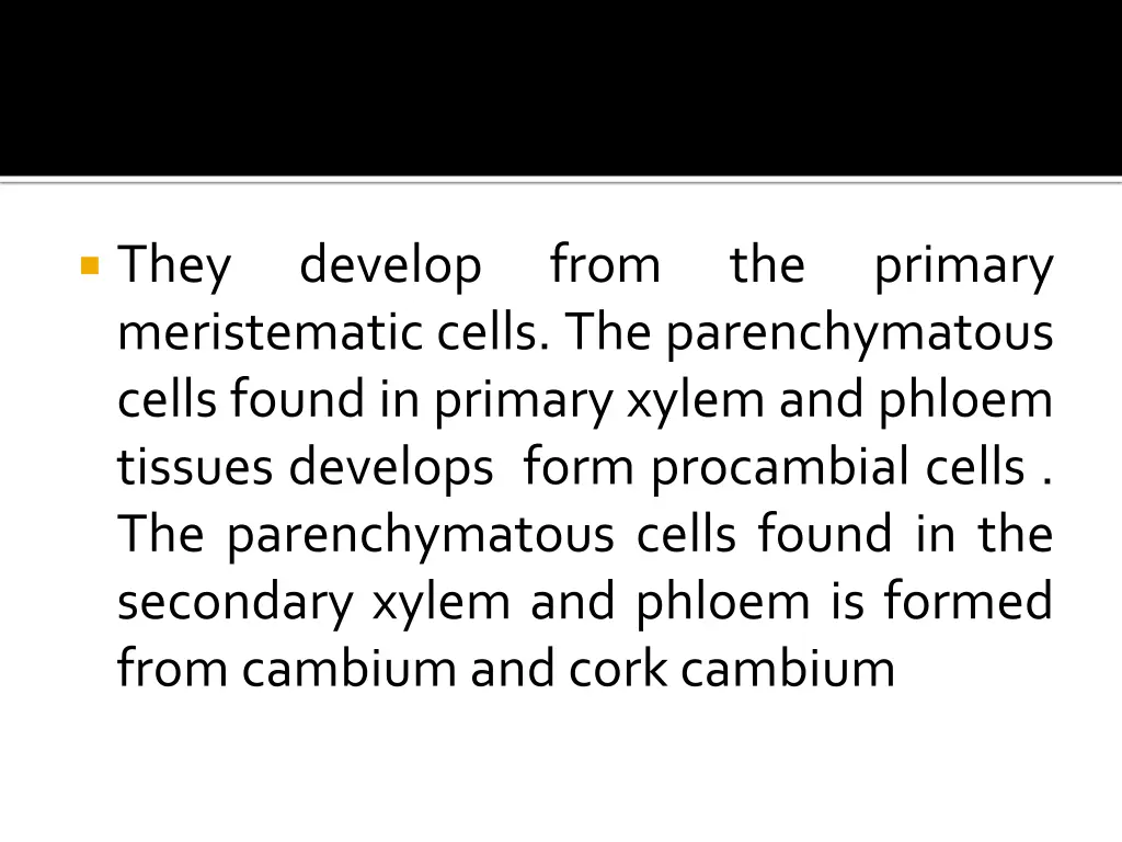 they meristematic cells the parenchymatous cells