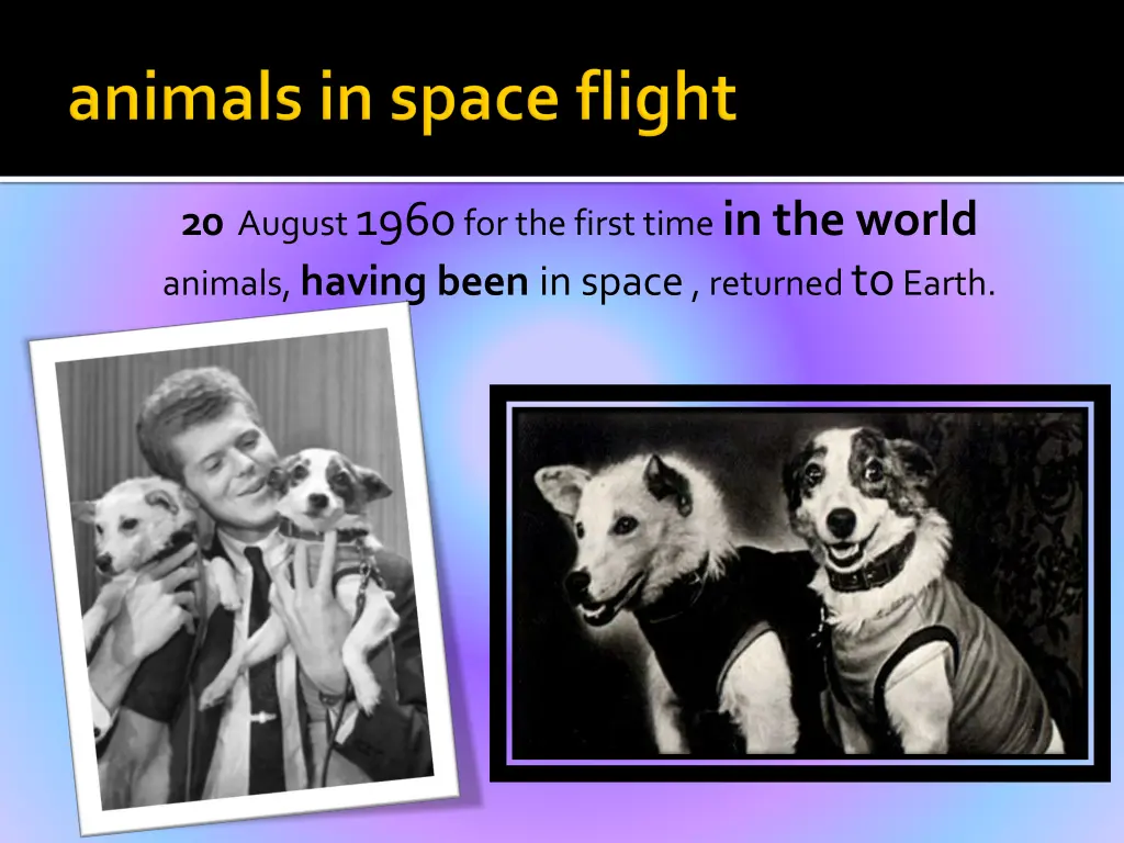 20 august 1960 for the first time in the world