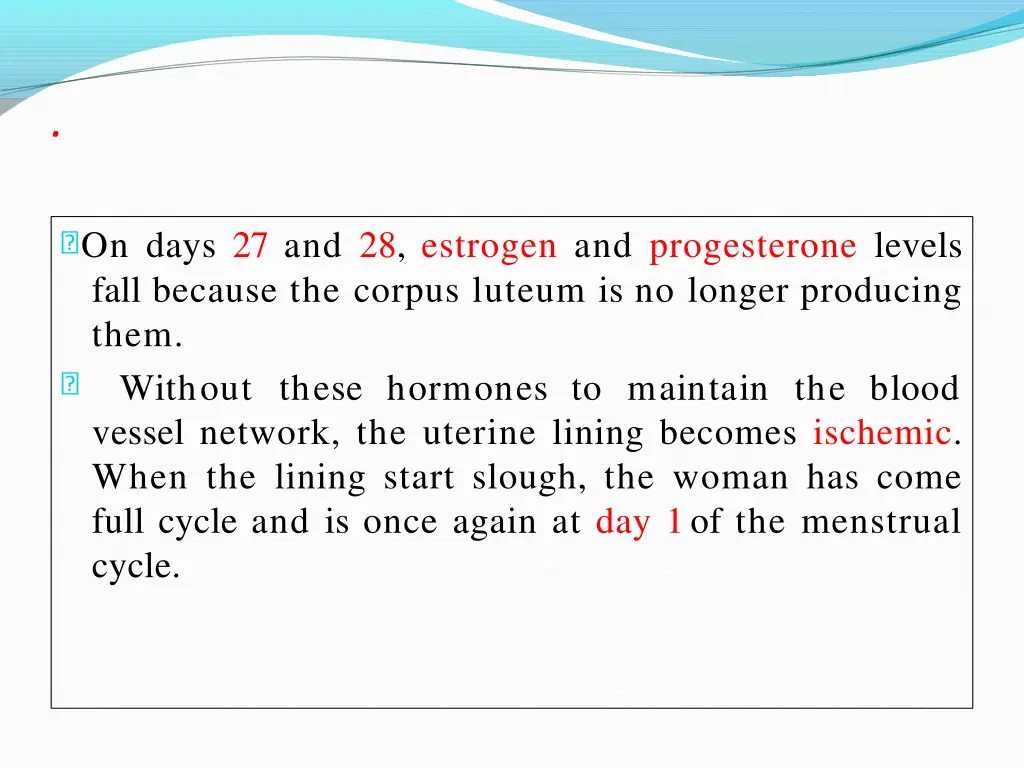 slide24