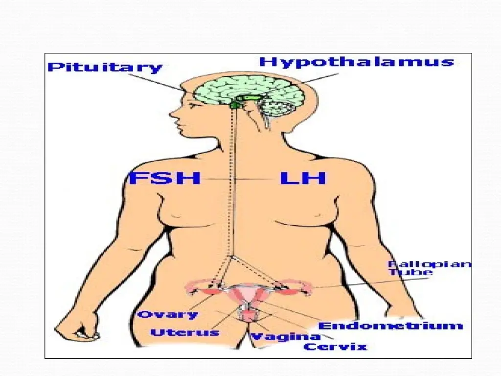 slide7