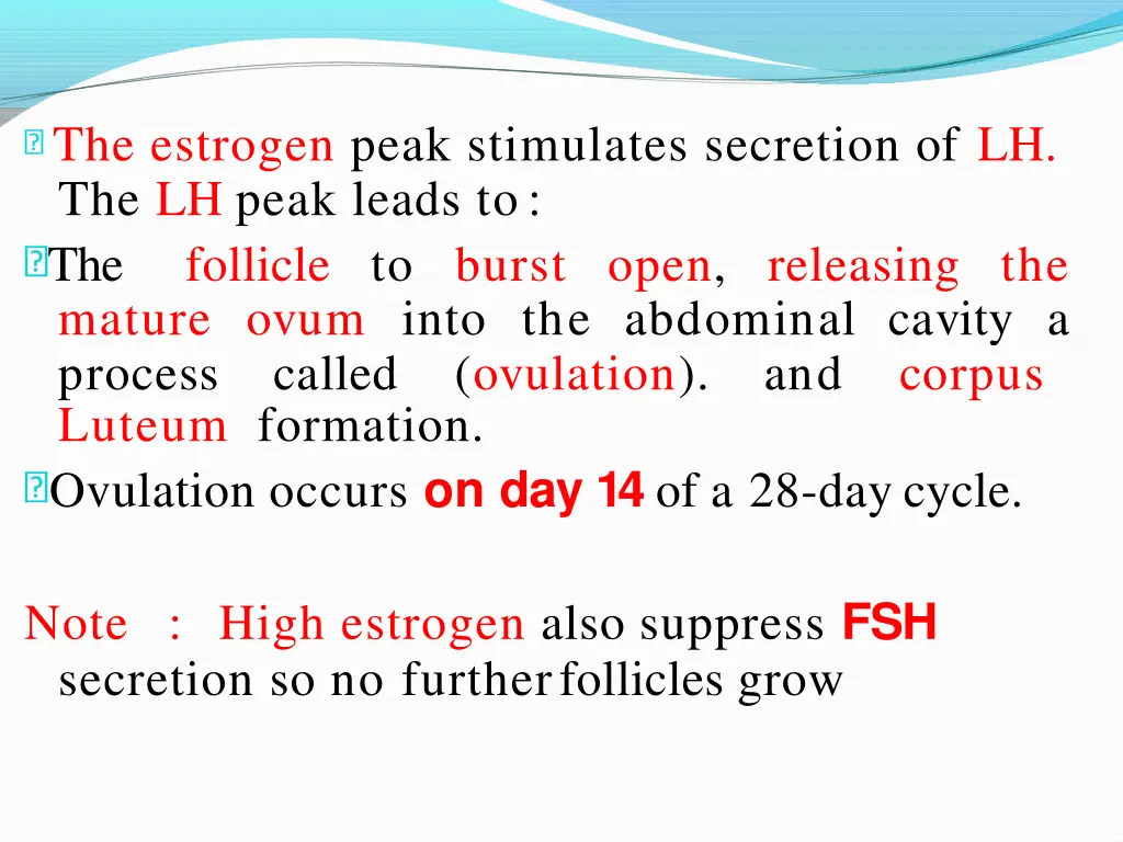 the estrogen peak stimulates secretion