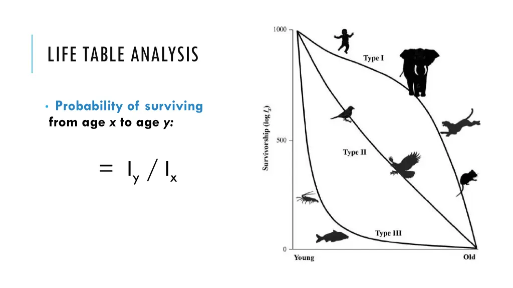 life table analysis
