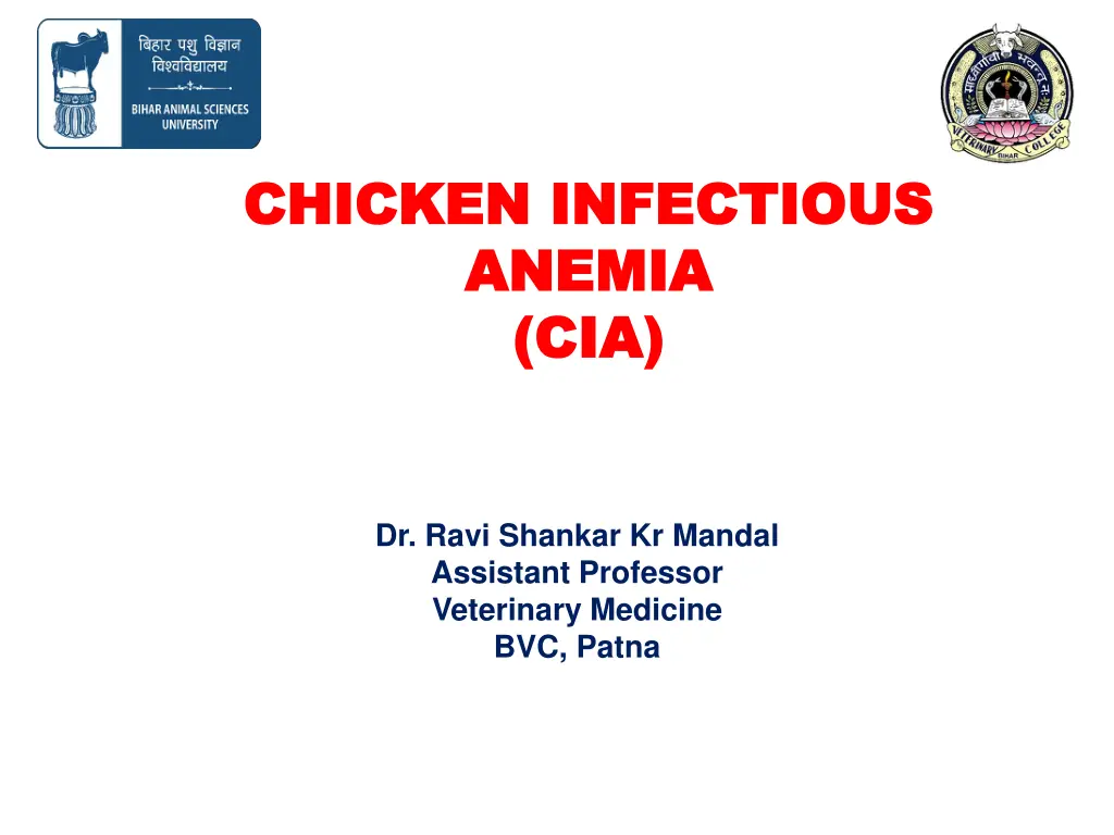 chicken infectious chicken infectious anemia