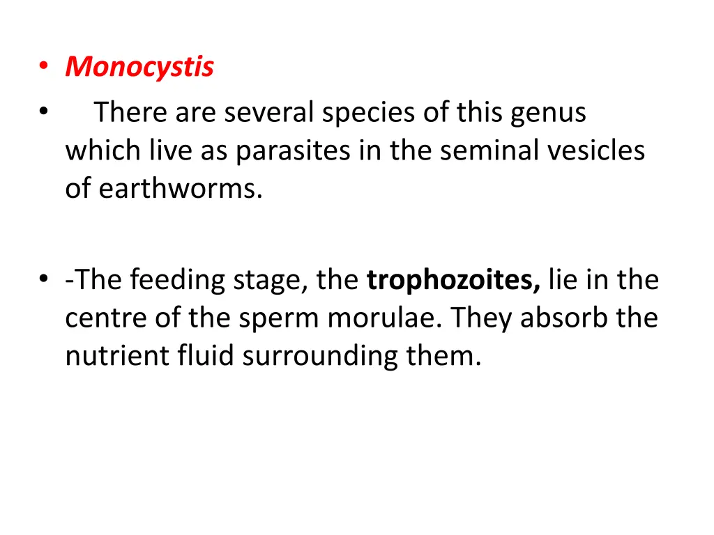 monocystis there are several species of this