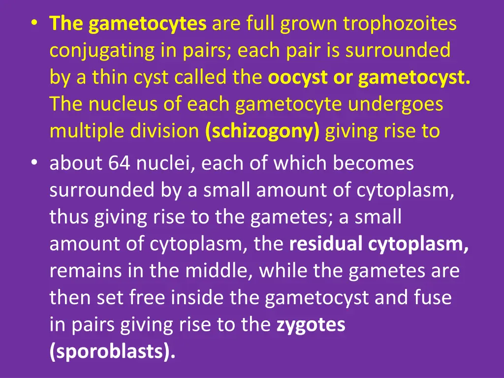 the gametocytes are full grown trophozoites