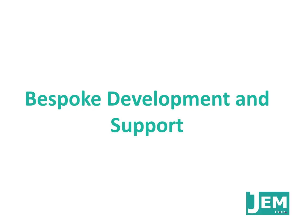 bespoke development and support