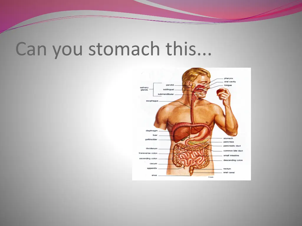 can you stomach this