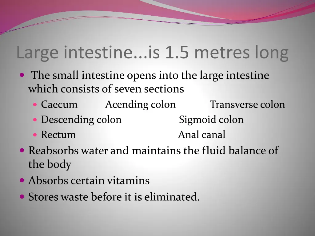 large intestine is 1 5 metres long