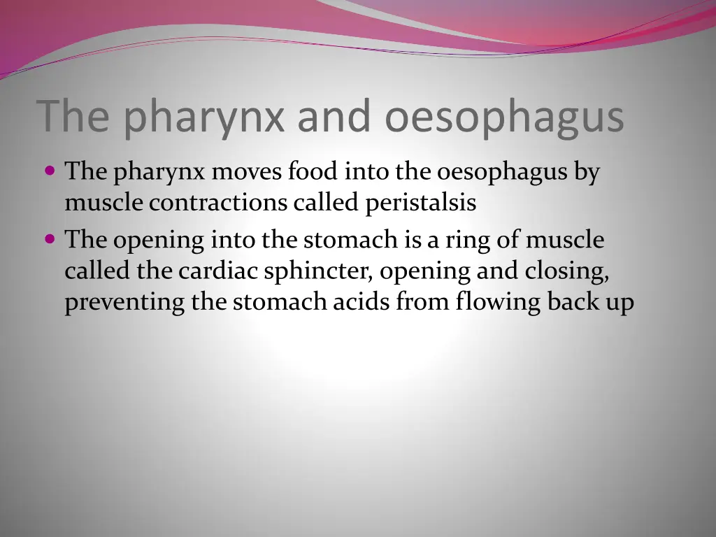 the pharynx and oesophagus