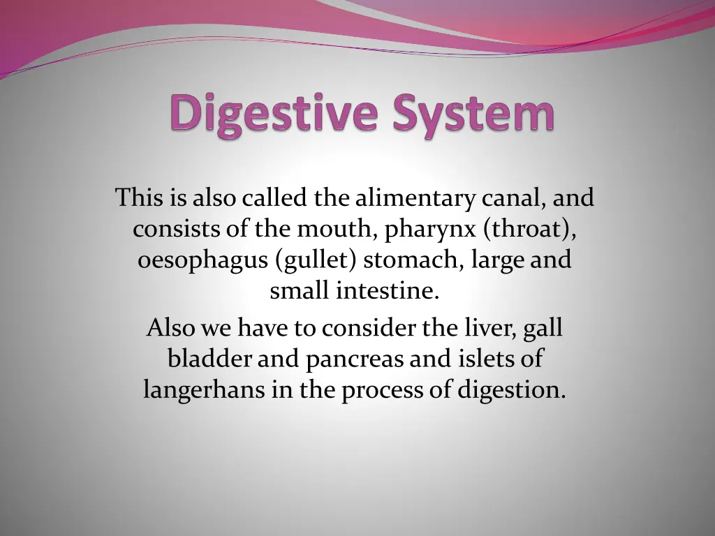 this is also called the alimentary canal