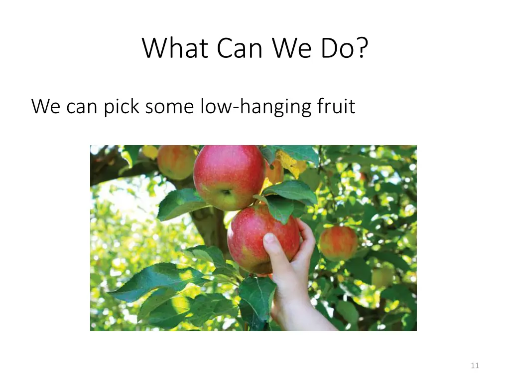 what can we do