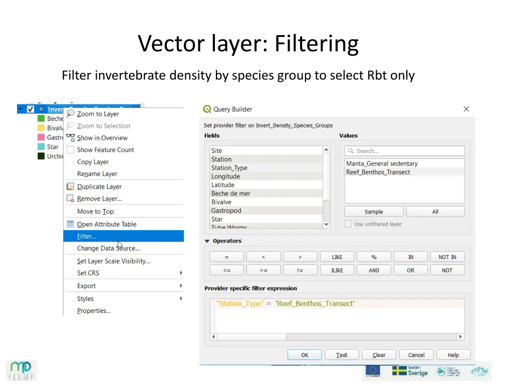 vector layer filtering