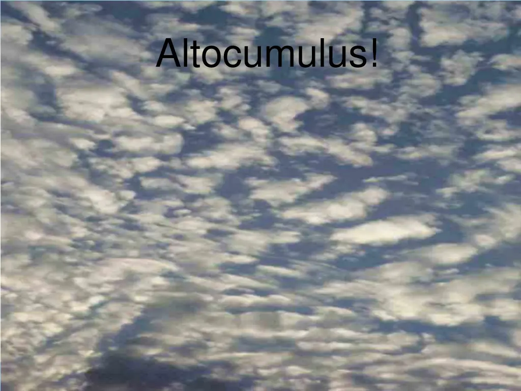 altocumulus