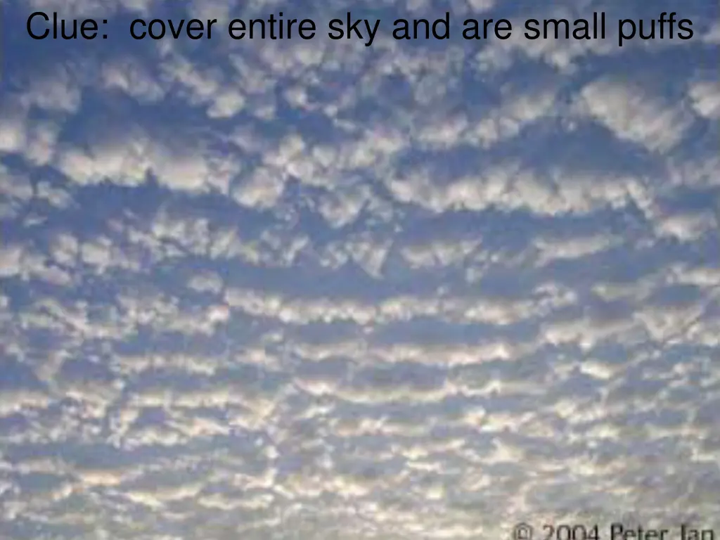 clue cover entire sky and are small puffs