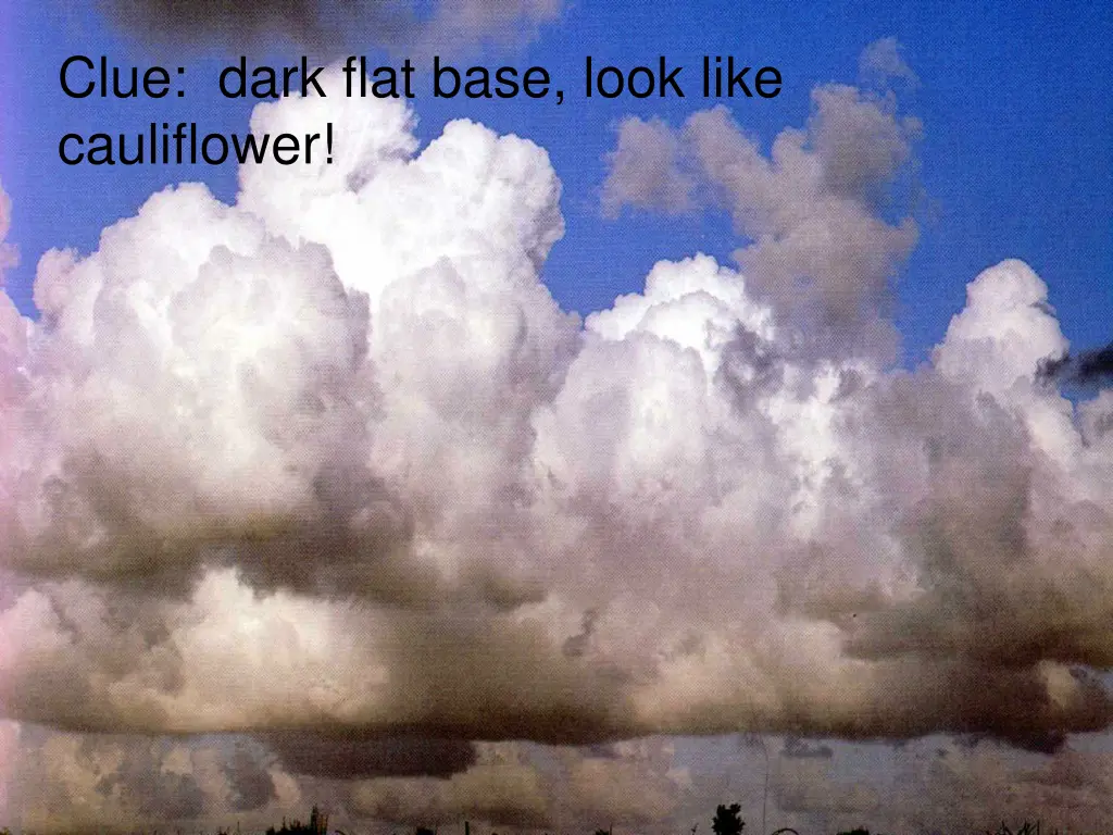 clue dark flat base look like cauliflower