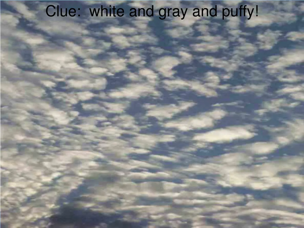 clue white and gray and puffy