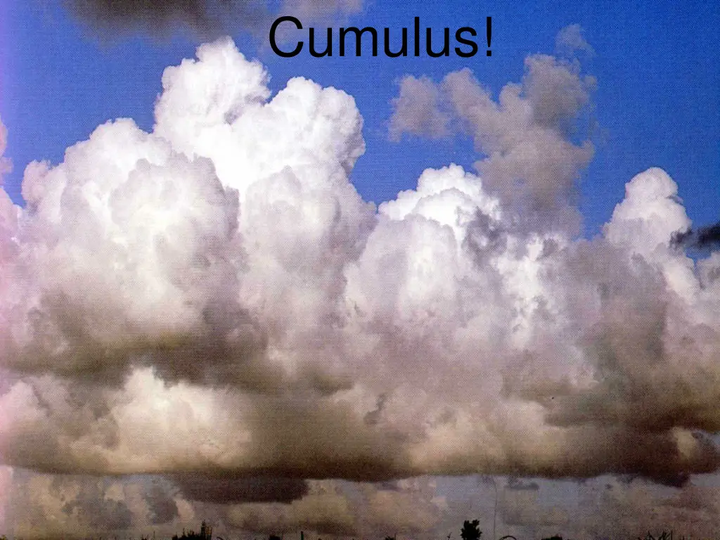 cumulus