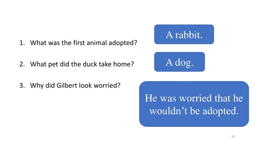 a rabbit