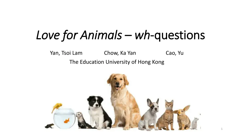 love for animals love for animals wh