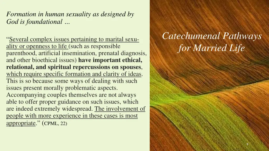 formation in human sexuality as designed