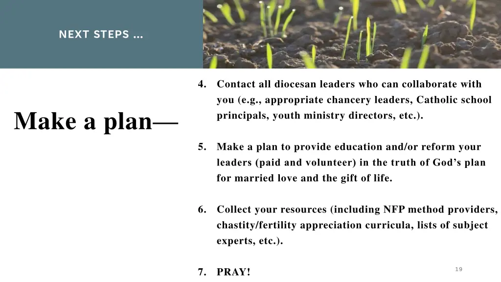 next steps 1