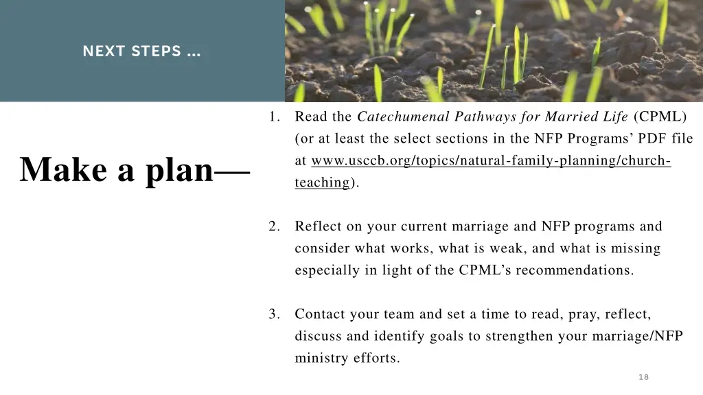 next steps