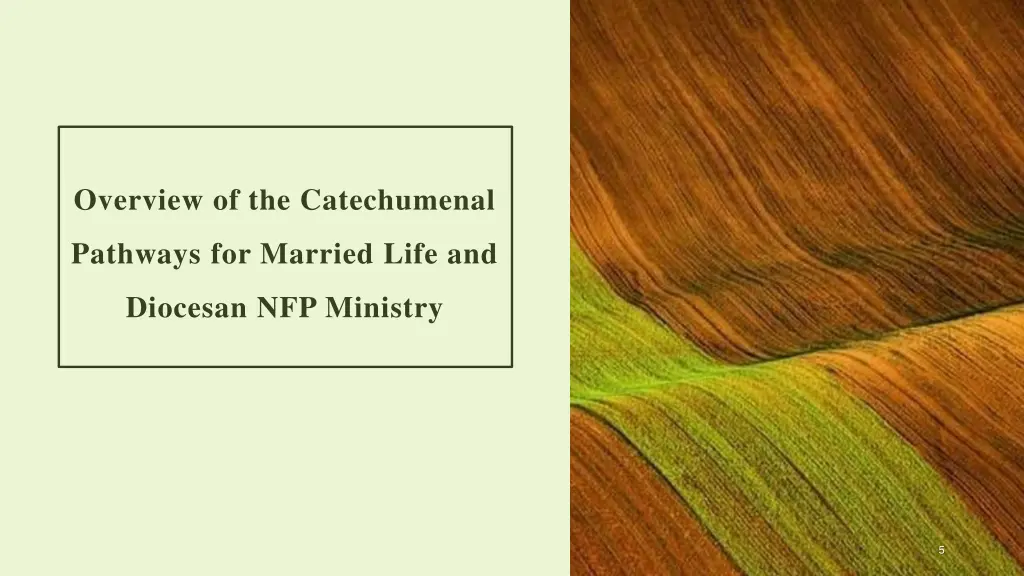 overview of the catechumenal