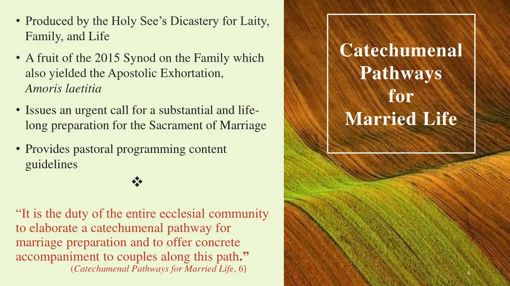 produced by the holy see s dicastery for laity
