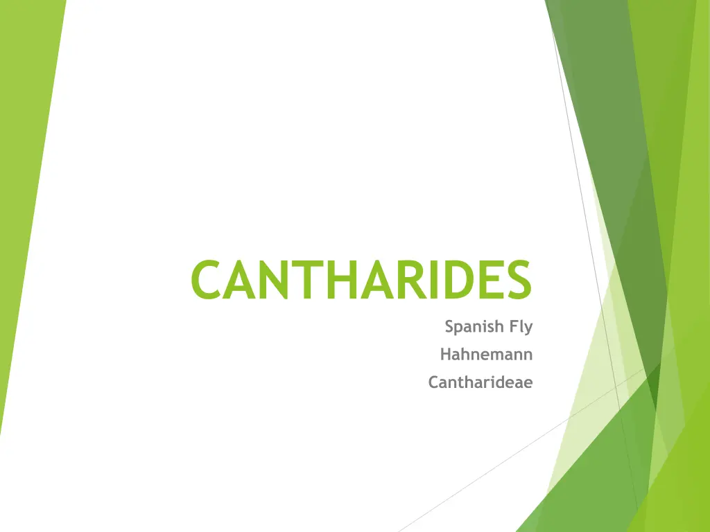 cantharides