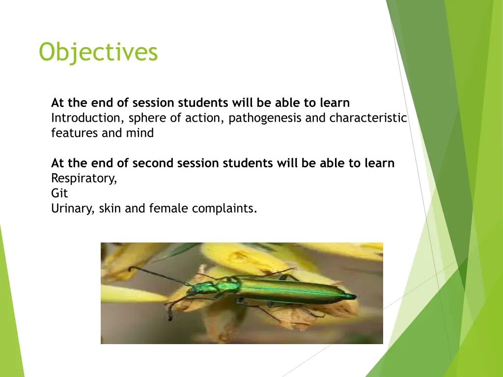 objectives