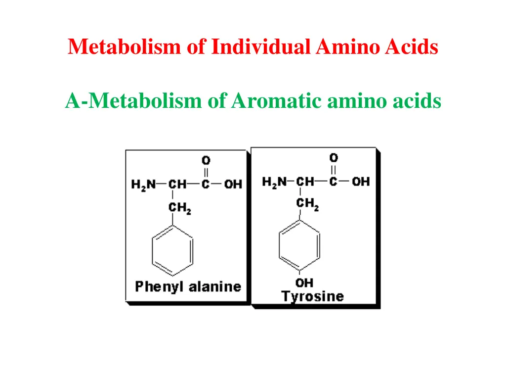 metabolism of individual amino acids