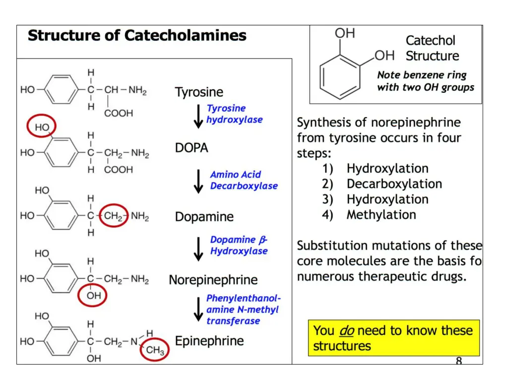 slide11