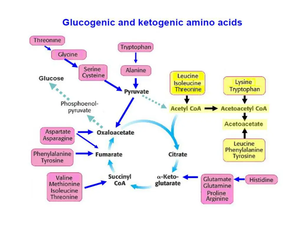 slide8