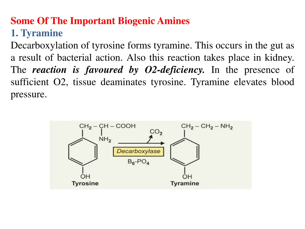 some of the important biogenic amines 1 tyramine