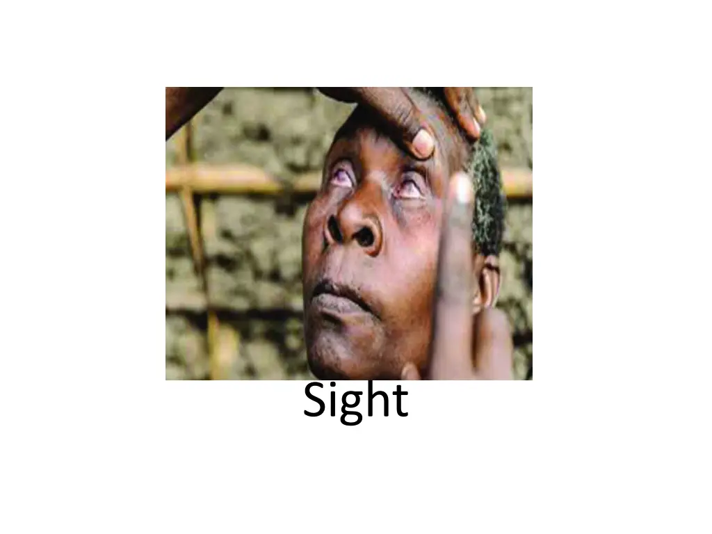 sight