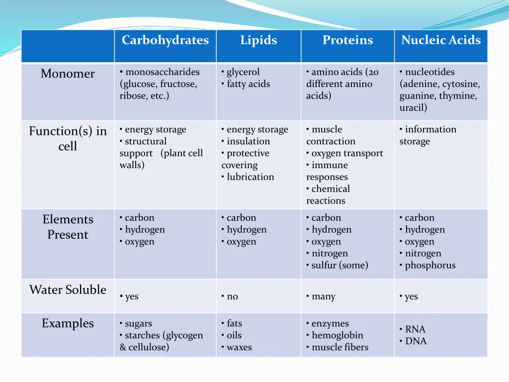 carbohydrates