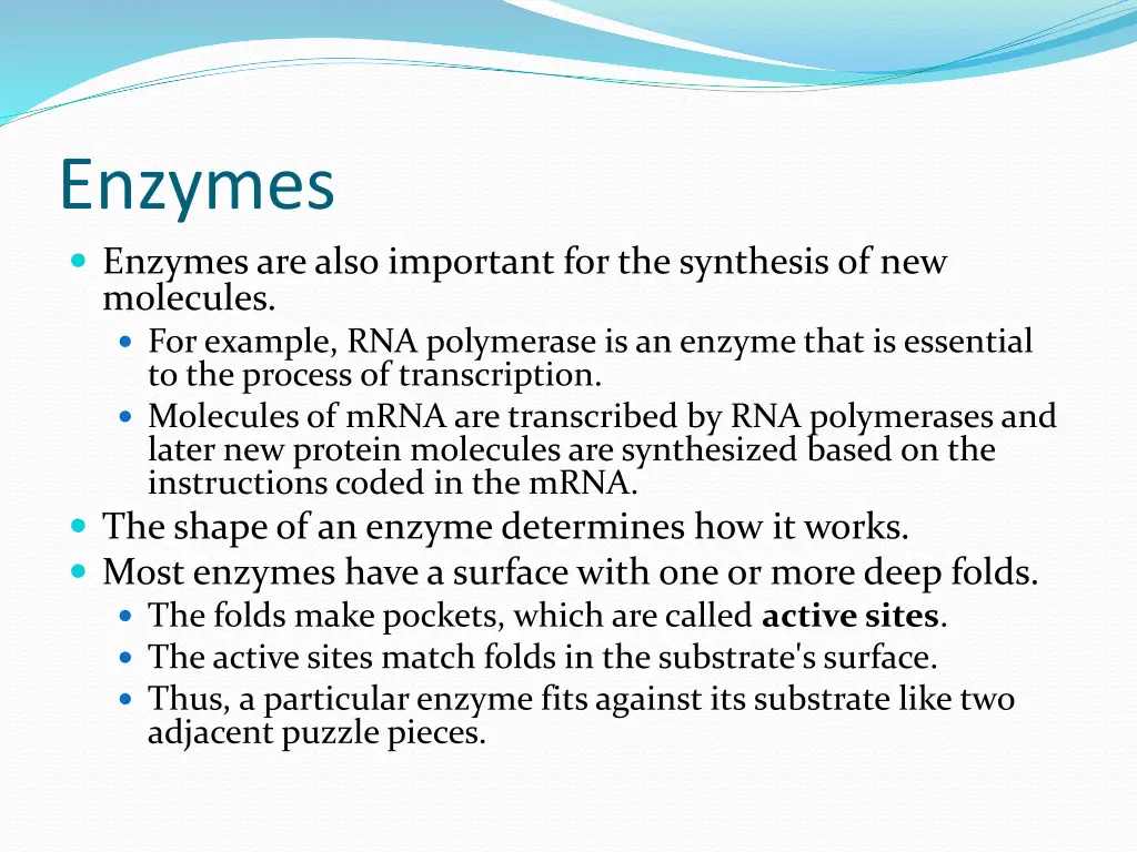 enzymes enzymes are also important