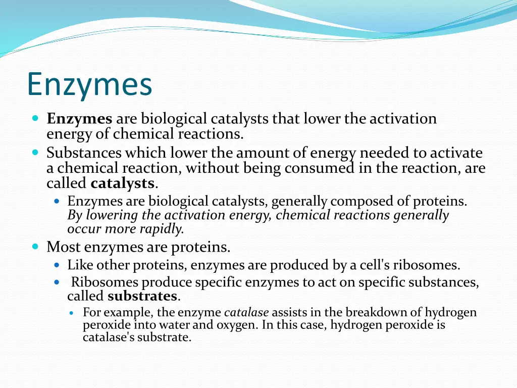 enzymes enzymes are biological catalysts that