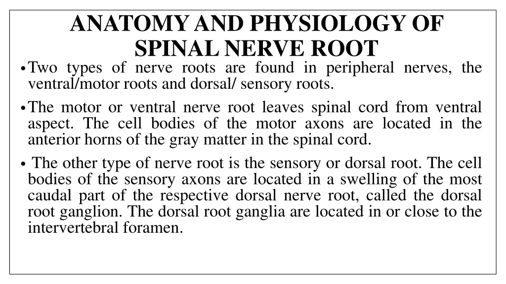 anatomy and physiology of spinal nerve root